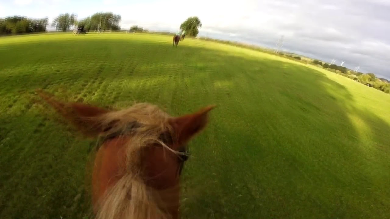 Pytchley Intermediate Team Chase - YouTube