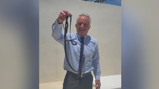 RFK Jr filmed handling snakes barehanded in Florida