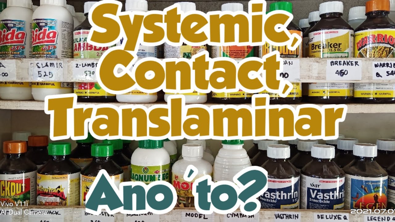 Understanding Chemical Modes of Action