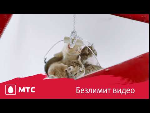 Безлимит на YouTube: неограниченный трафик для просмотра видео v. 01