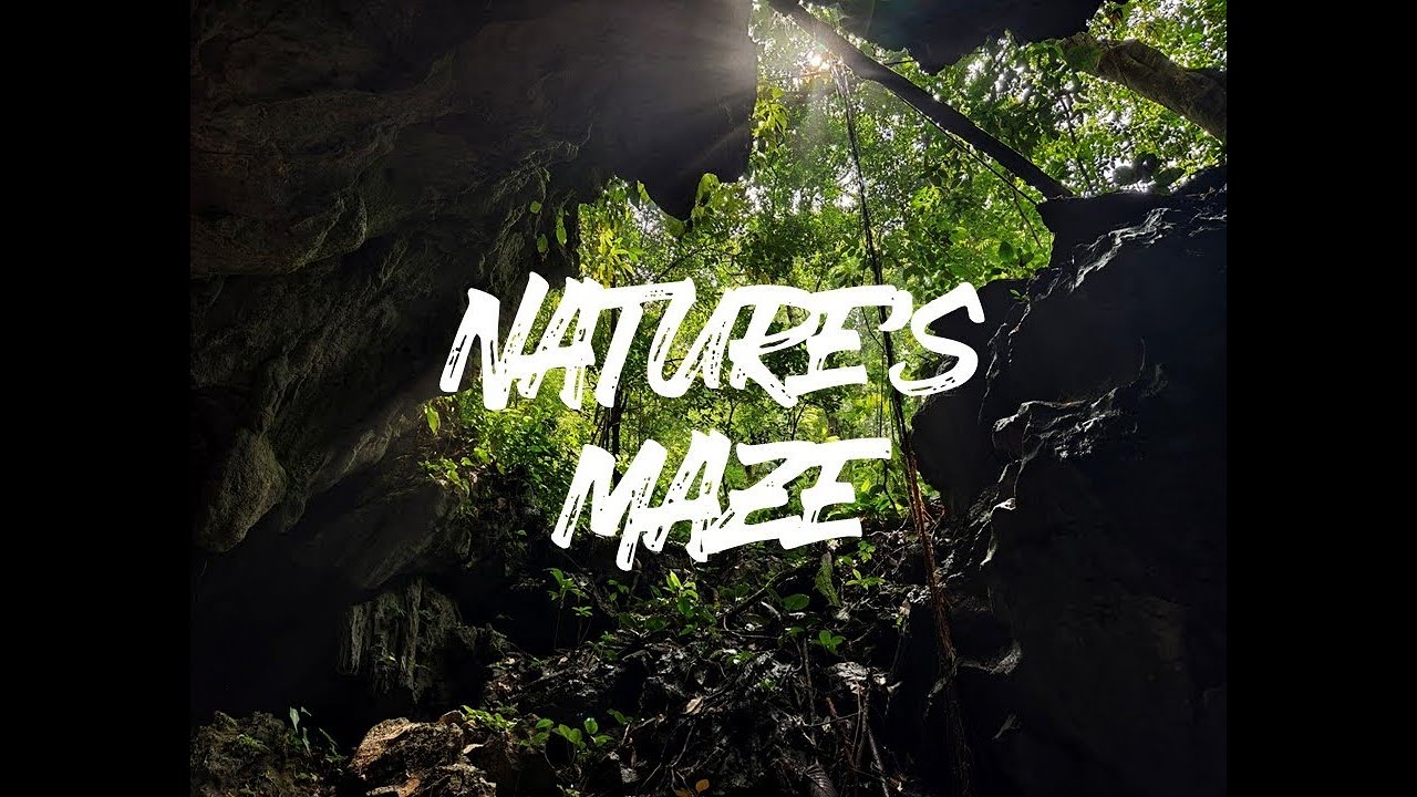 Lost in Sarawak’s Hidden Jungle Maze | Gunung Dannie Adventure