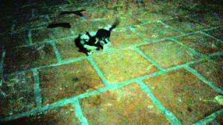 WP 20150623 003