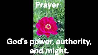 The Time to Pray is Now! When I see God. 2025. 8. 3.  Pastor Grace Seo