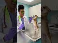 #comedyshorts #funny #pets #dog #viral #foryou