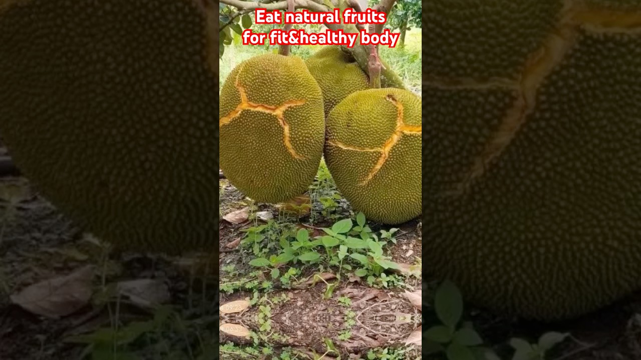 Eat natural fruits for fit&healthy body