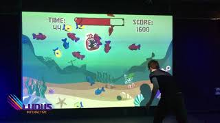 Ludus Interactive Wall