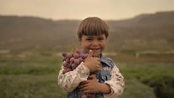 عنب اليمن Yemeni Grapes 