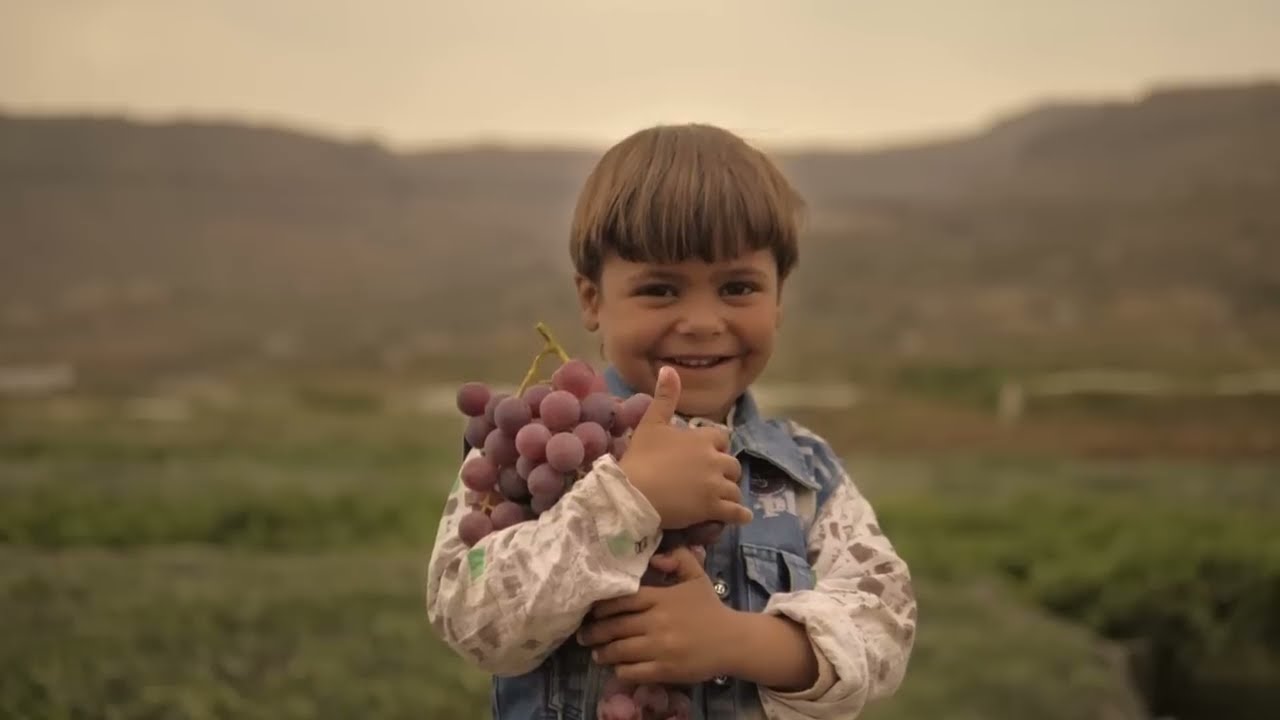 YouTubeでعنب اليمن |Yemeni Grapesを視聴