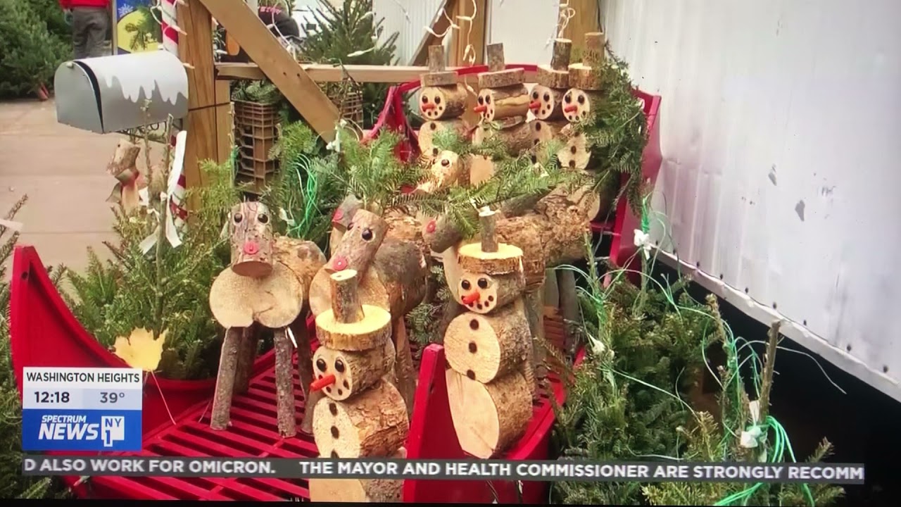 Greg’s Trees on Spectrum New York 1 News