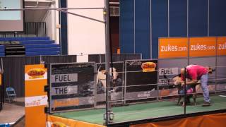 DD Worlds Zoe 7ft2in 11142014