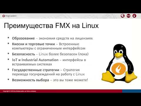 Разработка для Linux в Delphi 11. Возможности, инструменты и библиотеки