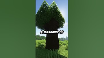 The Biggest Tree Type In Minecraft