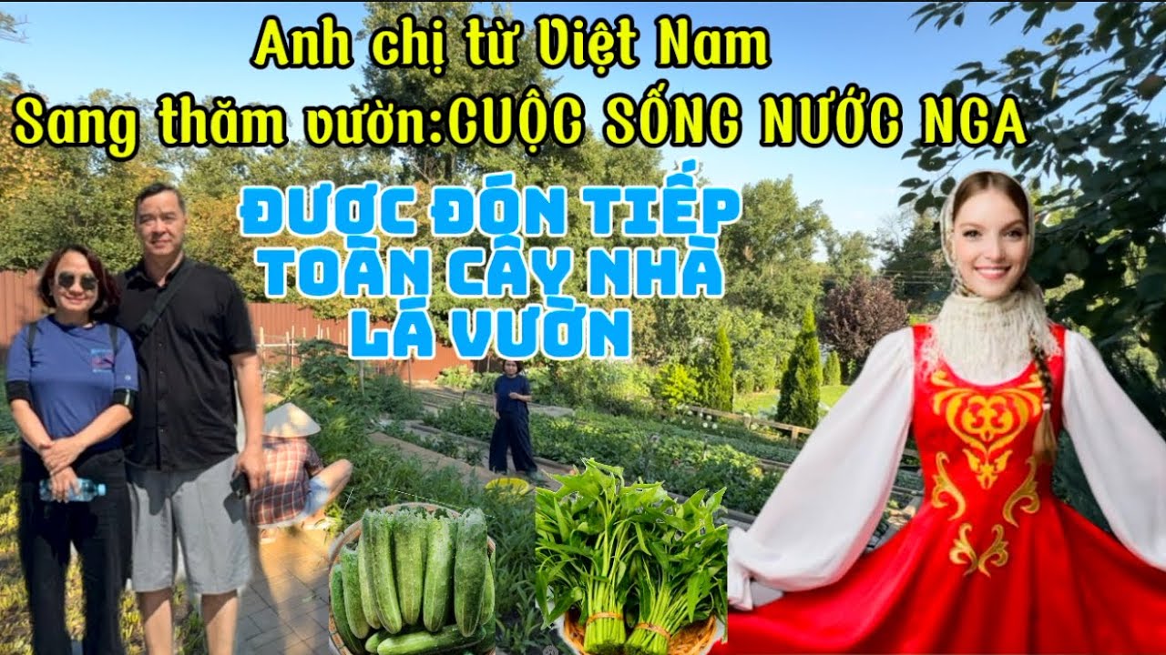 CUỘC SỐNG GIẢN DỊ Ở NGA | Hái Rau, Nấu Cơm Quê, Đón Khách Từ Việt Nam