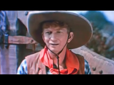 WILDFIRE: THE STORY OF HORSE