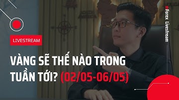 Nhận Định Thị Trường Forex & Crypto (02/05 - 06/05) - mForex Livestream