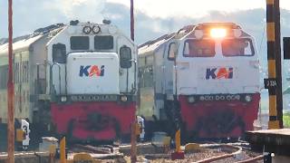 Busy Train Action at Semarang & Kendal Stations! 🚆🇮🇩 | Argo Merbabu, Pandalungan, Harina, & Kaligung