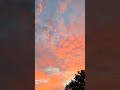 Peaceful Sunrise 🌅 #asmr #asmrvideo #asmrsounds #peace #mentalhealth #nature #morning #relax #fall