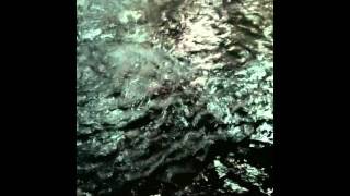 Fishing @ Punggol Promenade