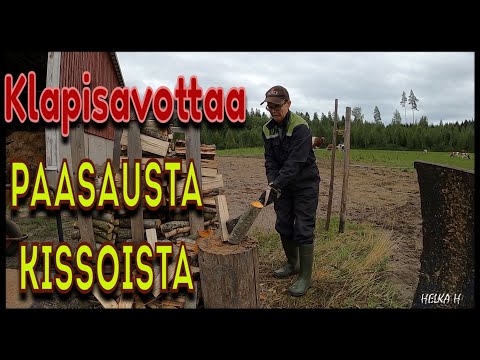 Video: Miksi Rakastamme Kissoja