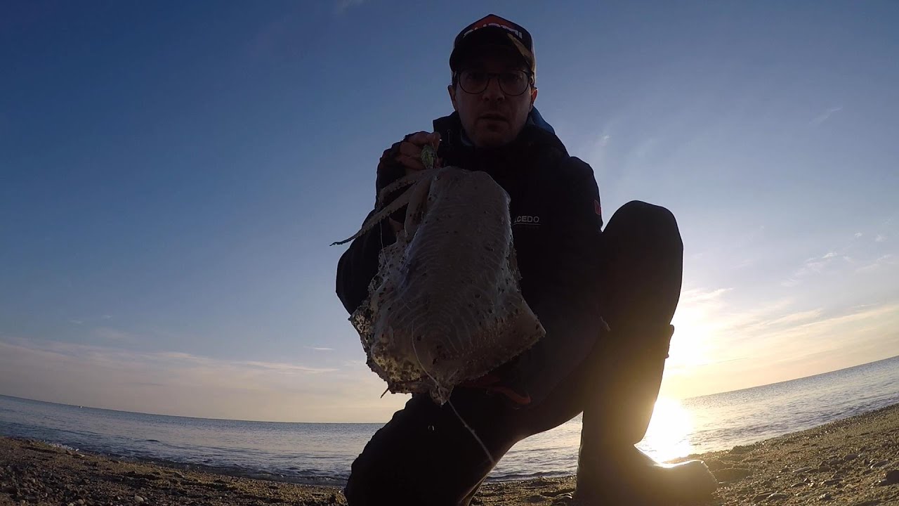 Questi Egi sono Micidiali per le SEPPIE  -Eging in primavera inoltrata