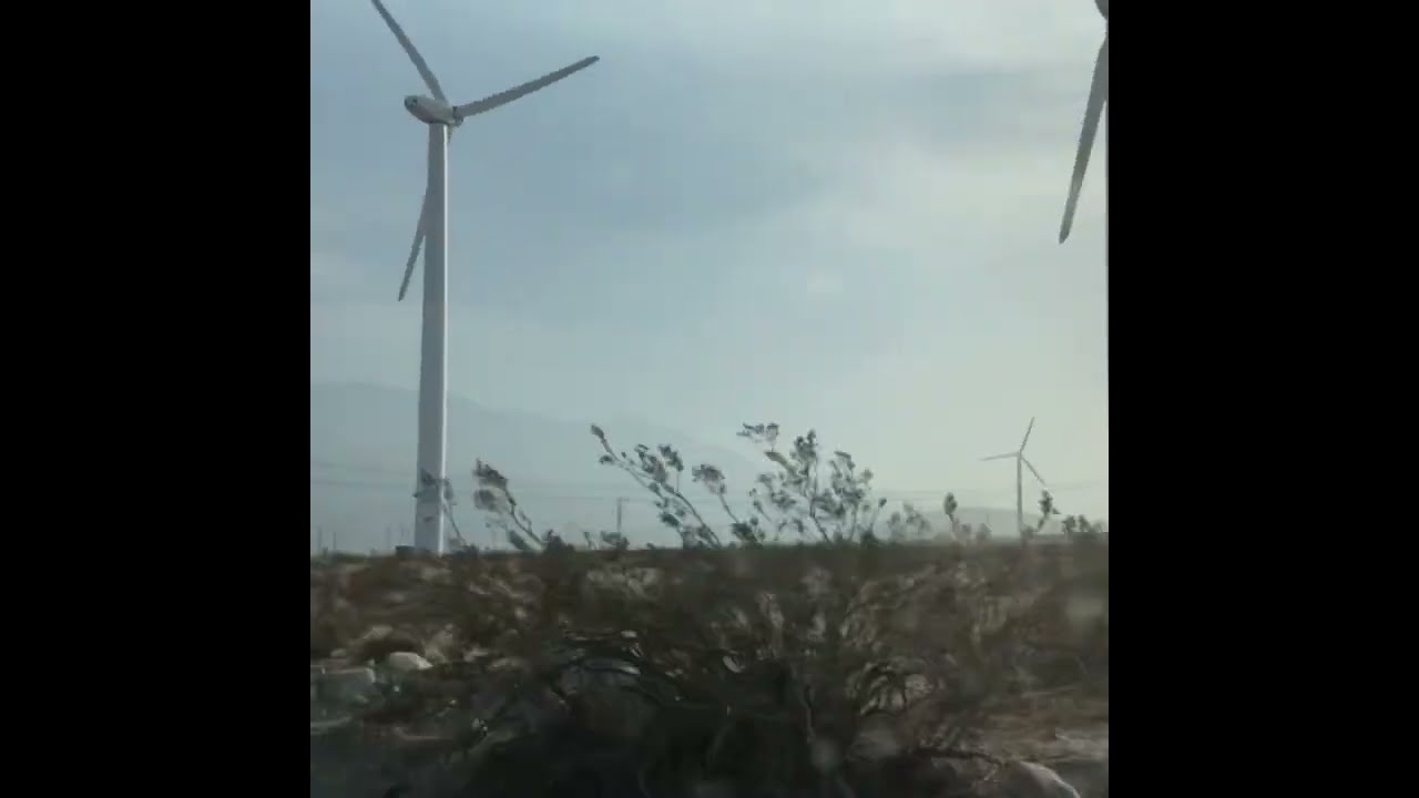 Pauline Oliveros “Accordion & Voice” / “The Wanderer” 2022 Lovely Music / Imprec