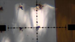 Benjamin Marauder  Fly Swat / fly shooting / accuracy