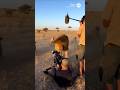 Savage Hyena Ambush Leaves Lion Fighting Back