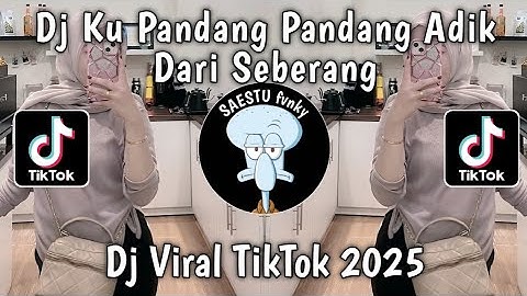 DJ KU PANDANG PANDANG ADIK DARI SEBERANG - DJ CINTA DARI SEBERANG VIRAL TIKTOK TERBARU 2025 !!