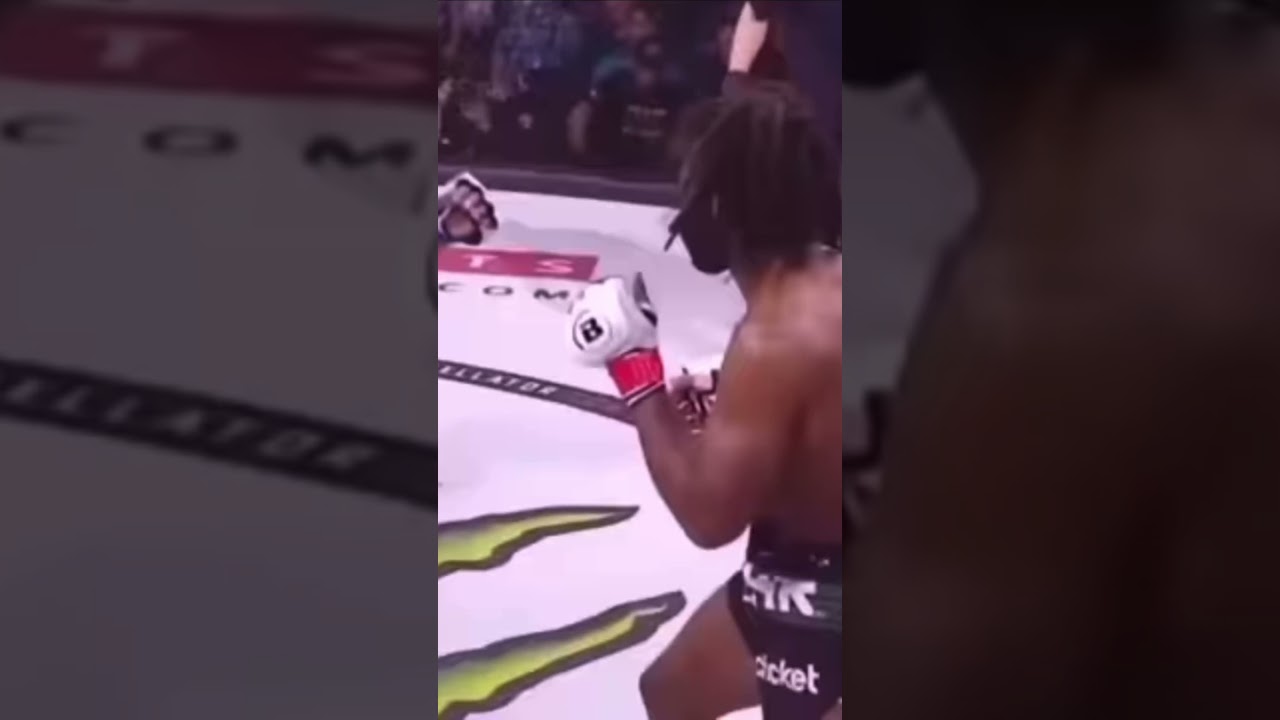 Devastating knockout 24 