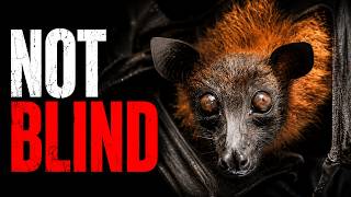 We were completely wrong about bats