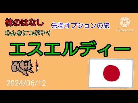 【エスエルディー】株のはなしのんきにつぶやく＋先物オプション