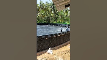 30 diameter tank biofloc shrimp farming