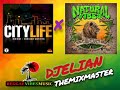 CITY LIFE RIDDIM × NATURAL VIBES RIDDIM MIXTAPE BY DJELIAN  THEMIXMASTER