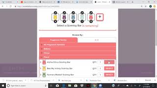 New Consultant Training: Set up a party, Workstation vs Website