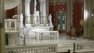 2026 0616 HNJ Daily Morning Mass - Tuesday of the Eleventh Week in Ordinary Time