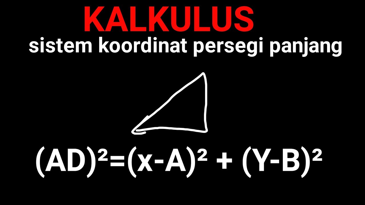 Sistem koordinat persegi panjang - kalkulus