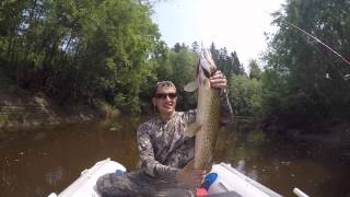 Щука на Сахалине / Amur Pike on Sakhalin