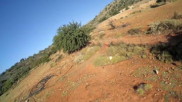 Littlebee 20a pro multishot t-motors f40 betaflight 2.7.1 testing