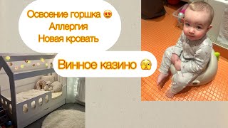 Винное казино 🍷приучение к горшку 🚽аллергия не проходит 😱 заказали новую кровать 😍