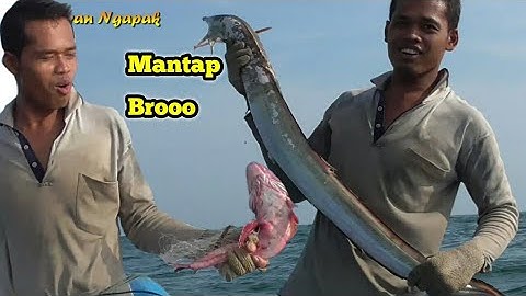 Berburu Kepiting rajungan dapat ikan belut laut monster || Part 3