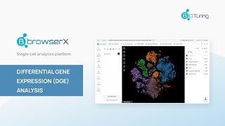 Famous BBrowserX: DGE analysis Wealth