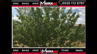 Ilık Çe Irımlık Ürkiye