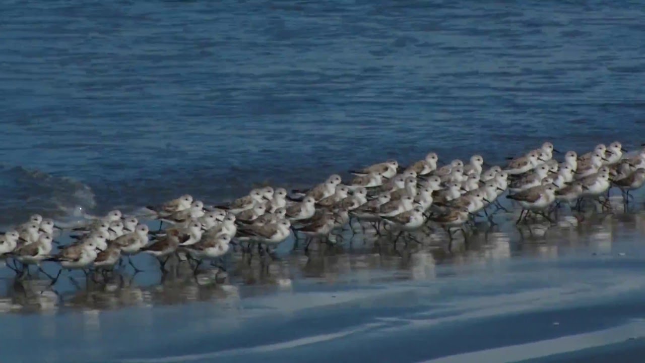 A Day in Baja California