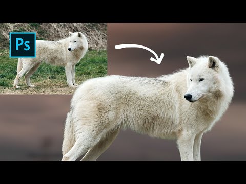 Photoshop tutorial: Como cortar imagens com pele ou cabelo