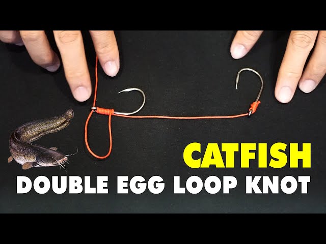 How to tie Double Egg Loop Knot - Perfect knot for Catfish fishing 