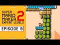 The most expert levels that ever experted an expert. [Super Mario Maker 2]