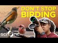 Calling all birders scientists need your help  sci nc  pbs north carolina