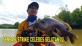 SENSASI STRIKE CELEBES SELATAN | MANCING MANIA (08/03/22) Part 2