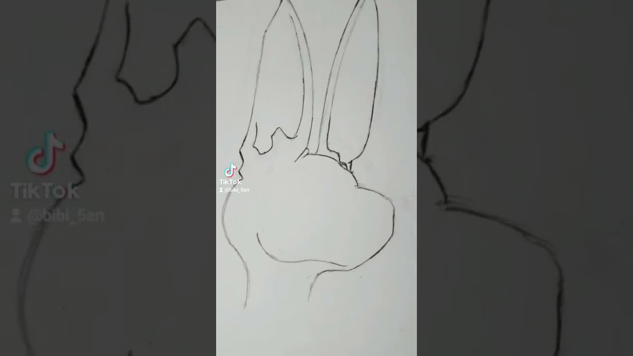 Lord Beerus 🐈‍⬛ 