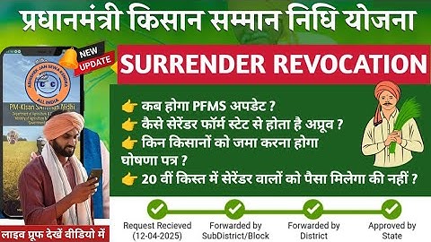 Pm Kisan New Update | Surrender Revocation Kab Sahi Hoga | Surrender Form Ka Pfms Kab Update Hoga